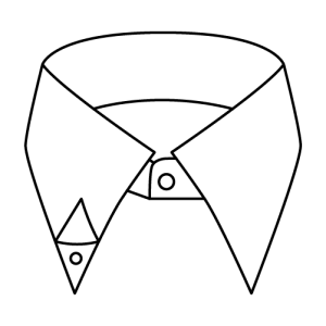 HIDDEN BUTTON