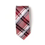 Sandy Patterned Red Tie